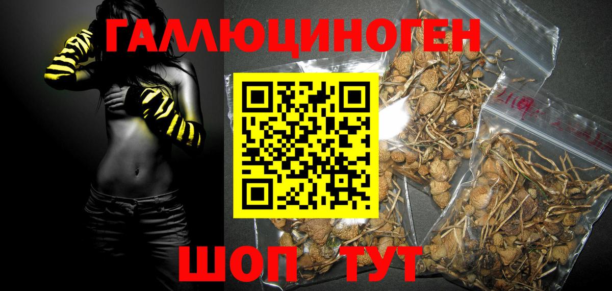 Псилоцибиновые грибы Psilocybine cubensis  Вход с VPN  Рузаевка  Галлюциногенные грибы прущие грибы 